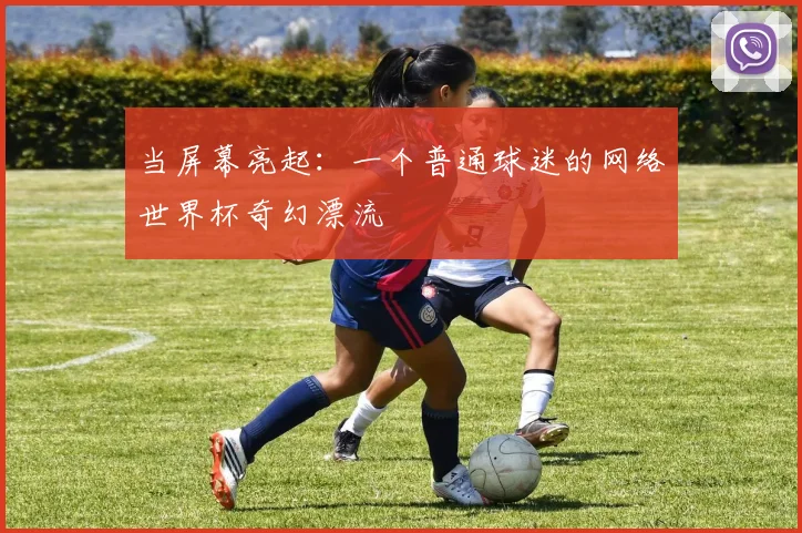当屏幕亮起:一个普通球迷的网络世界杯奇幻漂流