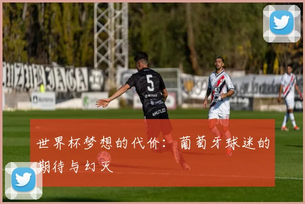 世界杯梦想的代价：葡萄牙球迷的期待与幻灭