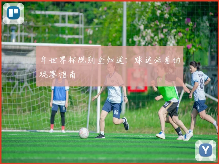 年世界杯规则全知道：球迷必看的观赛指南